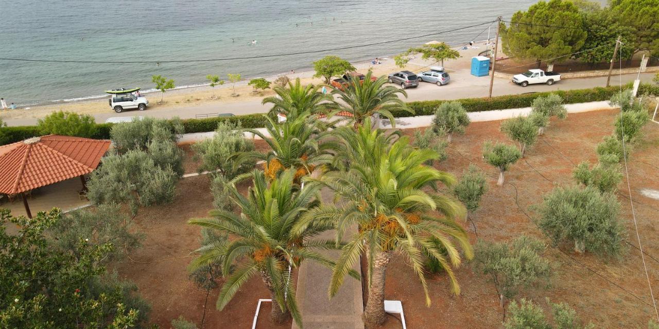Krissaia Seaside Suites Γαλαξίδι Εξωτερικό φωτογραφία
